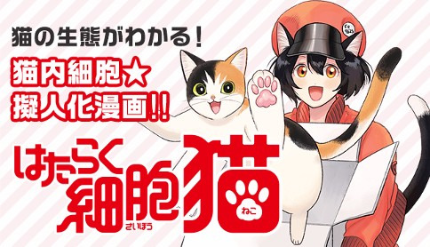 Cells at Work! Cat